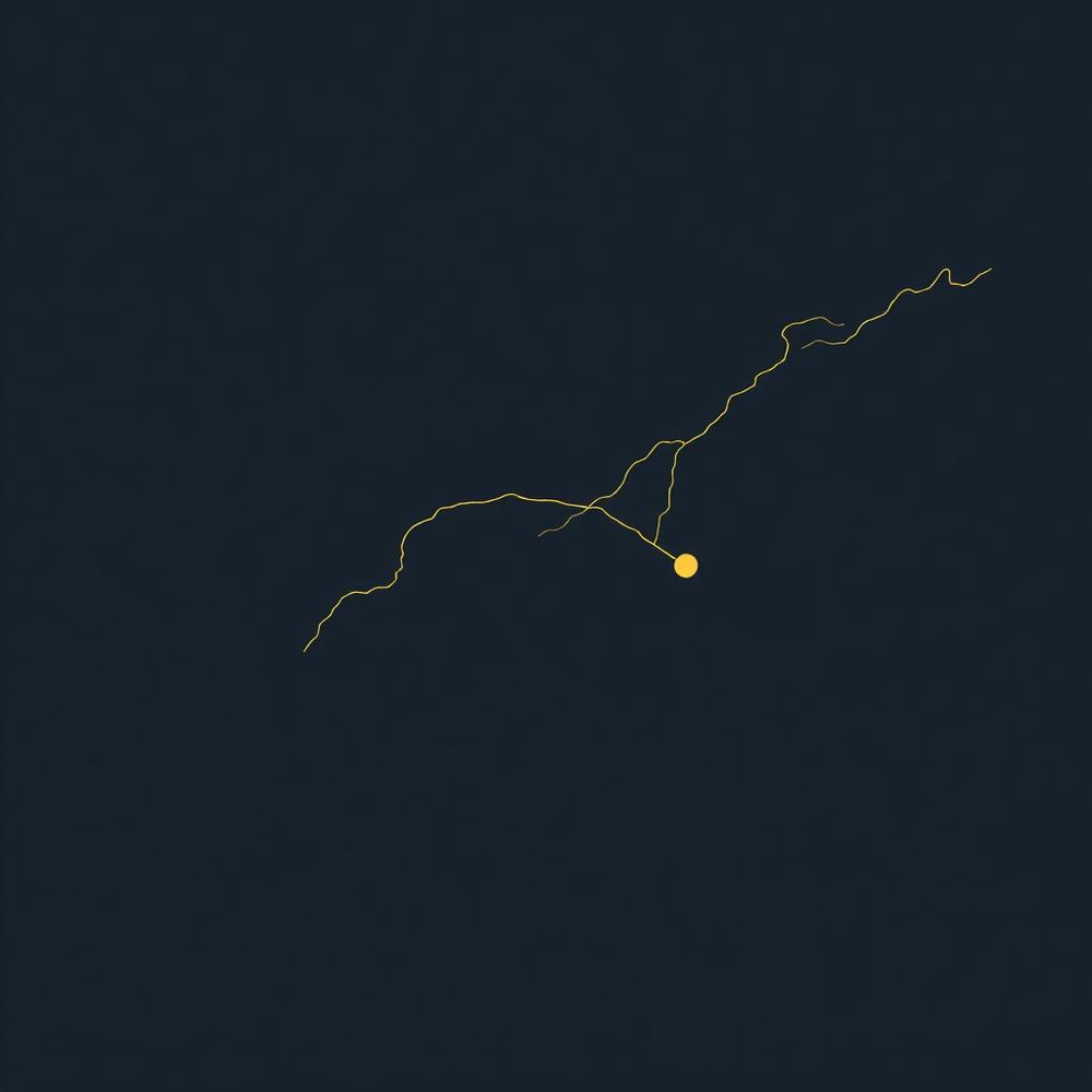 Stylised map of the Sunshine Coast Queensland service area